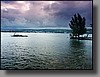 Hilo Bay