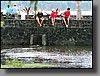 Local kids catch dinner in Lili'uokalani Gardens.