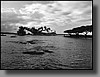 Coconut Island
