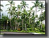 The lush resort gardens.