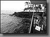 The Ohana Keauhou Beach Resort extends into the ocean, providing a great view of green sea turtles.