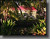The lush resort gardens.