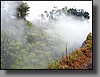 Steaming Bluff: Volcanic heat produces steam from rain water that drips through openings in the ground.