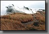 Steaming Bluff: Volcanic heat produces steam from rain water that drips through openings in the ground.