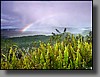 A vibrant rainbow over the Kilauea Caldera.