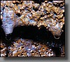 Small stalactites can be found forming on the walls.