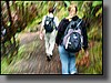 The Kilauea Iki Crater Trail provides a leisurely 4-mile hike that winds down and across the steaming crater.