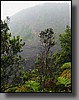 Kilauea Iki Crater