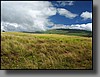 The lush, rolling fields south of Waimea.