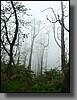 Hiking into the unknown.