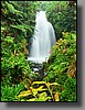 There are many obscured waterfalls along the trail, so listen for the roar of falling water.