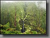 After 2 1/2 miles of hiking (about an hour without photo stops) you're rewarded with this incredible vista and a 2,000-foot drop-off to Waipi'o Valley.